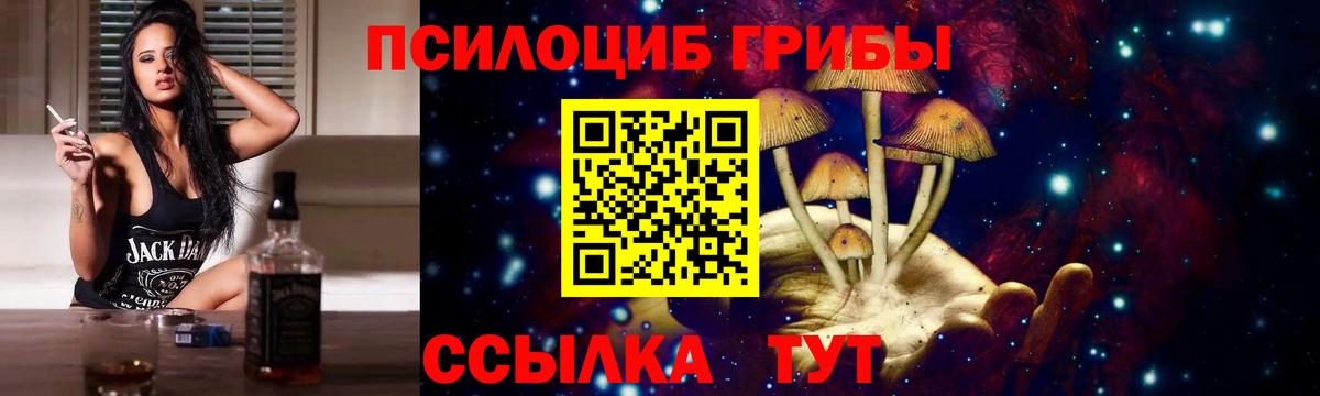 Галлюциногенные грибы мицелий Энгельс