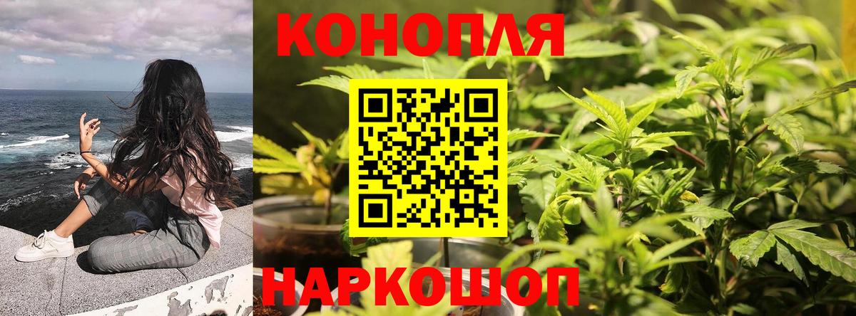 Марихуана тримм  Конопля MAZAR  Вход с VPN  Энгельс  Бошки марихуана индика  Каннабис MAZAR 